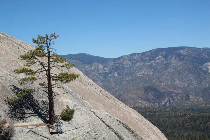 Sequoia National Forest